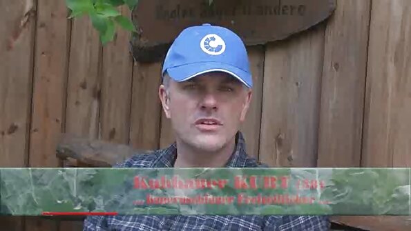 Kļūstot nosvīdis ar jaunu un ragveida gailis slampa savā gultā